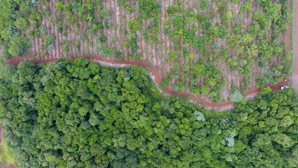 "Climate change requires rigorous measures, but at the same time fair," asserts Peña - .::Agencia IP::.