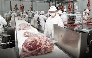 Siete frigoríficos paraguayos habilitados para exportar carne a Arabia Saudita