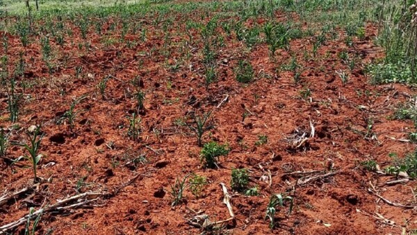 Estiman impacto de USD 500 millones por cambio climático