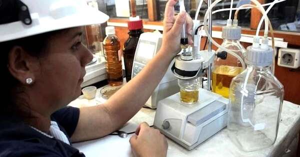 La Nación / Avance del biodiésel beneficia a toda la cadena productiva