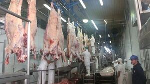 Arabia Saudita habilita nuevos frigoríficos paraguayos para exportación de carne bovina