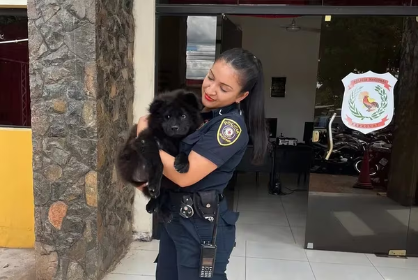 Adolescente le robó el perro a su vecino y fue aprehendido - Noticiero Paraguay