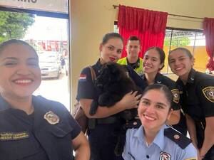 [VIDEO] Robó el firulais de su vecino, quiso venderlo y quedó apresado
