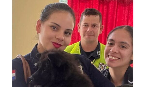 Robó el chow chow de su vecino y quedó preso