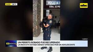 Video: Un perrito robado fue recuperado  - ABC Noticias - ABC Color