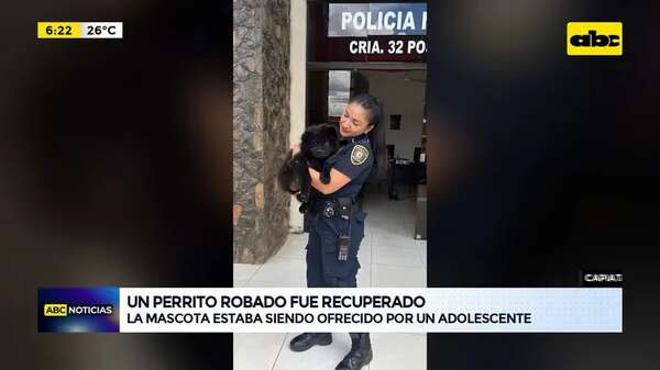 Video: Un perrito robado fue recuperado  - ABC Noticias - ABC Color