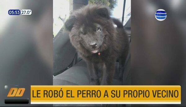 ¡Ni las mascotas se salvan! Le robó el perro a su propio vecino | Telefuturo