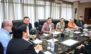 ITAIPU y otros entes coordinan apoyo para atender urgencias del sistema de salud
