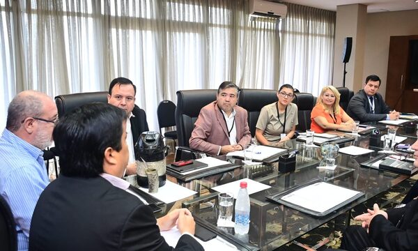 ITAIPU y otros entes coordinan apoyo para atender urgencias del sistema de salud