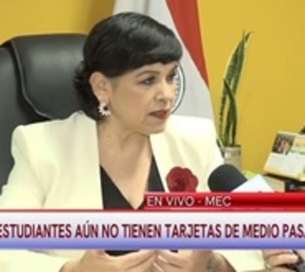 MEC tardará 15 días más en distribuir el boleto estudiantil - Paraguay.com