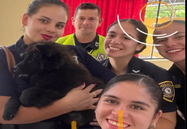 Adictos roban hasta perros para comprar drogas - Noticias Paraguay