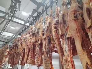 Carne paraguaya: En EE.UU. congresistas piden suspender la importación