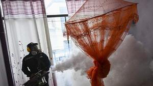 Perú declara el estado de emergencia sanitaria por un brote de dengue - ADN Digital