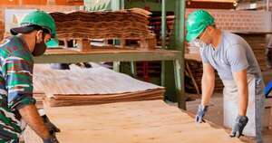 La Nación / Sector maderero necesita mayor desarrollo y ofrecer productos industrializados, señalan