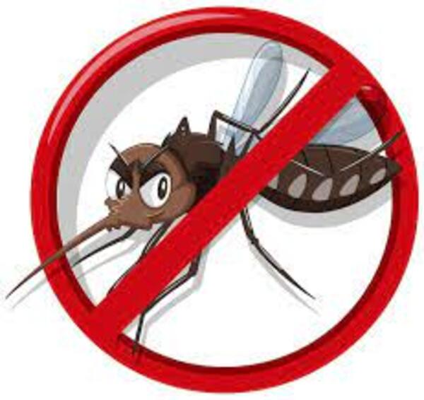 El dengue golpea duro - El Independiente