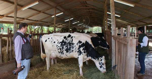 La Nación / Promueven el desarrollo del sector lechero desde las cooperativas