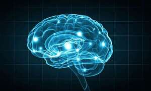 ¿Quién tiene el cerebro más grande?: el “viral” de un programa español - Soy un viral - ABC Color