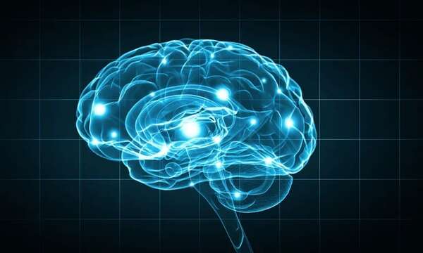 ¿Quién tiene el cerebro más grande?: el “viral” de un programa español - Soy un viral - ABC Color