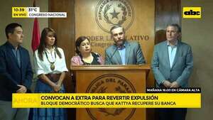 Frente opositor convoca a sesión para rever expulsión de Kattya González   - ABC Noticias - ABC Color