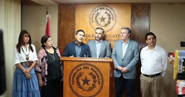 La Nación / Bloque opositor pidió sesión extraordinaria del Senado para “revertir” expulsión de Kattya