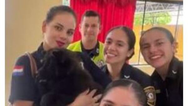 La historia de “Negro”, el perrito robado por un vicio