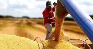 La Nación / Precios de la soja cayeron 20 % a raíz de mejora en la cosecha de argentina