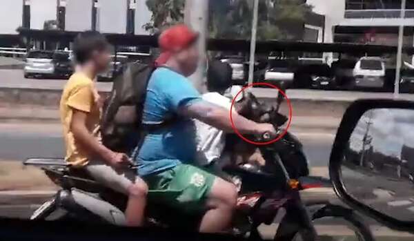 Video: ¡tremenda irresponsabilidad! Motociclista arriesga la vida de sus hijos y de un perrito - Nacionales - ABC Color