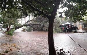 Tormenta causó destrozos en Luque •