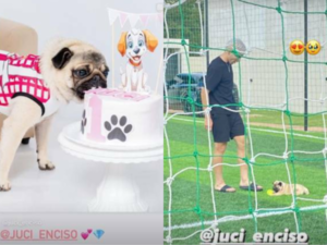 Julio Enciso y su nueva novia adoptaron un jagua’i paquete