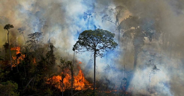 La Nación / Registran récord de incendios para febrero en la Amazonía brasileña