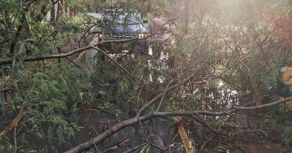 Diario HOY | Cierran el Parque Ñu Guasu tras el temporal