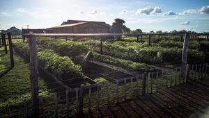 Chaco Vivo apunta a mantener 187.916 hectáreas de bosque chaqueño (y preservar especies autóctonas)