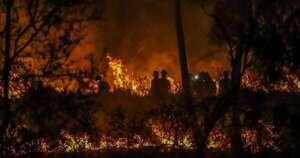 La Nación / Casi 3.000 incendios en la Amazonía brasileña