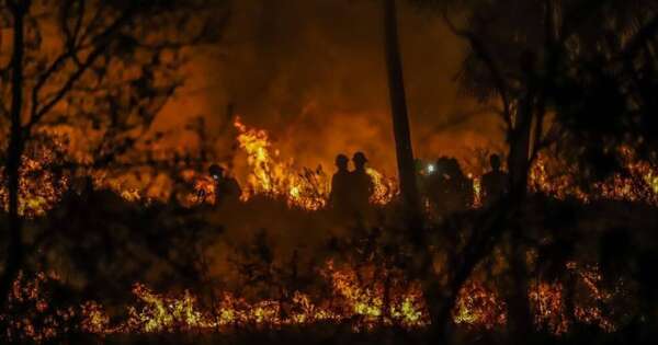 La Nación / Casi 3.000 incendios en la Amazonía brasileña