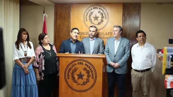 Oposición intentará retorno de Kattya González a la Cámara de Senadores y el voto liberal será clave - Política - ABC Color