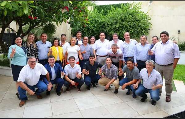 Los 22 diputados liberales se unen para “pelear” reformas a “Hambre Cero” - Política - ABC Color