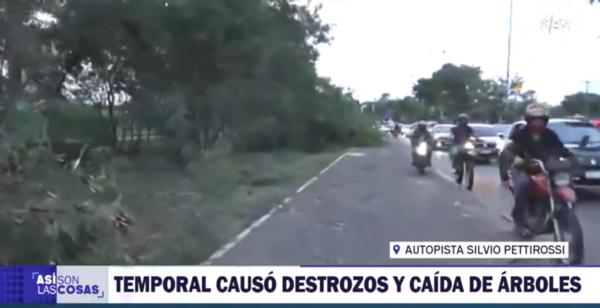 Central, con muchos destrozos y zonas sin energía eléctrica, a causa del temporal - ADN Digital