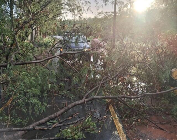 Cierran parque Ñu Guasu tras destrozos causados por la tormenta