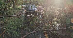 La Nación / Cierran parque Ñu Guasu tras destrozos causados por la tormenta