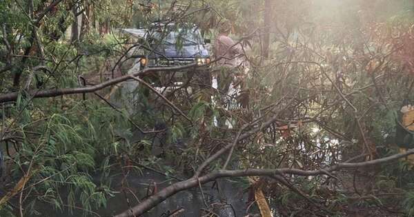 La Nación / Cierran parque Ñu Guasu tras destrozos causados por la tormenta
