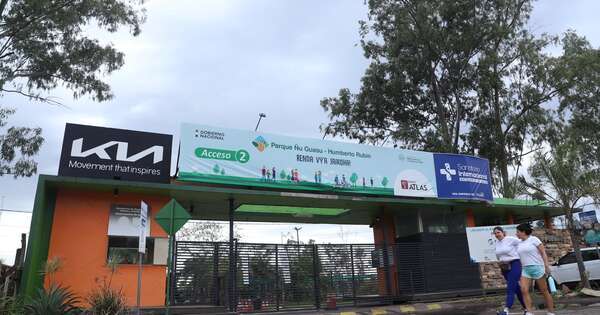 Diario HOY | Más de 10 árboles caídos en parques Ñu Guasu y Guasu Metropolitano, ambos cerrados hoy