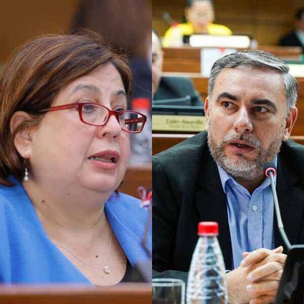 En medio de dudas, opositores esperan que colorados disidentes acompañen sesión extra del Senado
