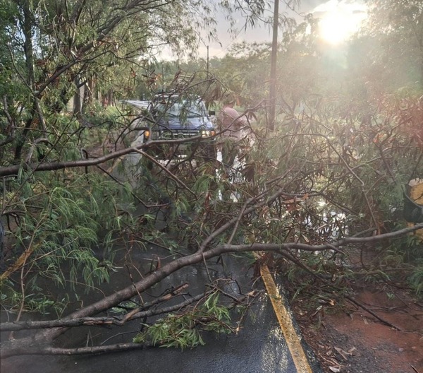 Clausuran temporalmente parques Guasu Metropolitano y Ñu Guasu | 1000 Noticias