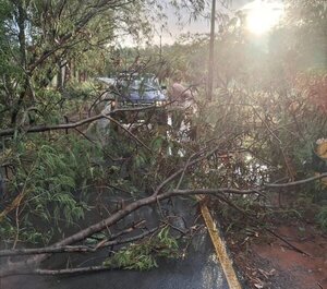 Clausuran temporalmente parques Guasu Metropolitano y Ñu Guasu