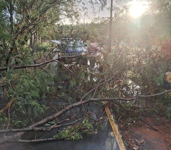 Clausuran temporalmente parques Guasu Metropolitano y Ñu Guasu