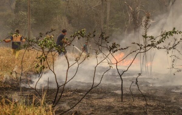 Infona amplía plazo de prohibición total de uso de fuego