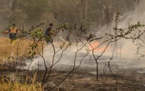 Amplían la prohibición total del uso de fuego - El Independiente