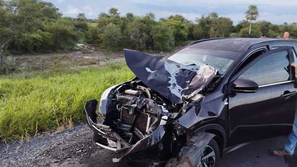 Dos conductores chocan contra dos caballos en Ñeembucú