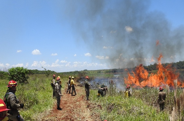 INFONA amplía la suspensión de permisos de quema para prevenir incendios forestales - Unicanal