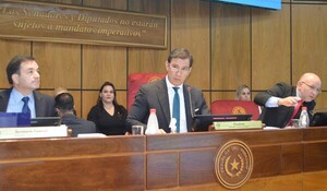 La oposición no logró el quorum para que el Senado revea la destitución de Kattya González - La Tribuna